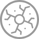 Icon Neutral plasmas